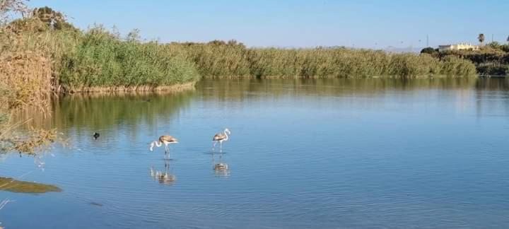 Апартаменти Vera Natura Apartamento Laura Екстер'єр фото